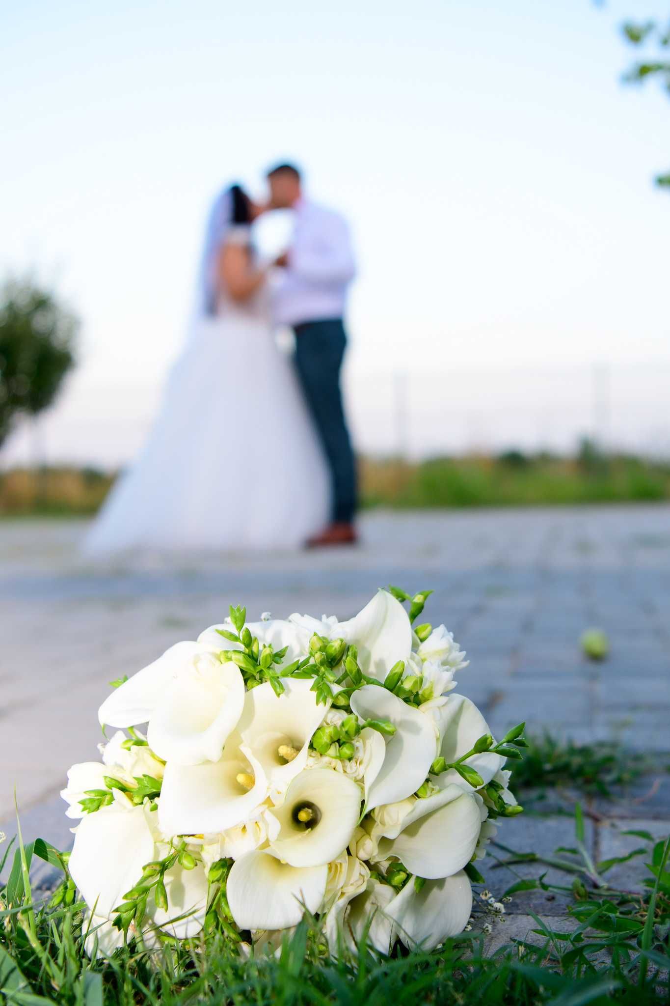 Fotograf Arges. Servicii foto-video