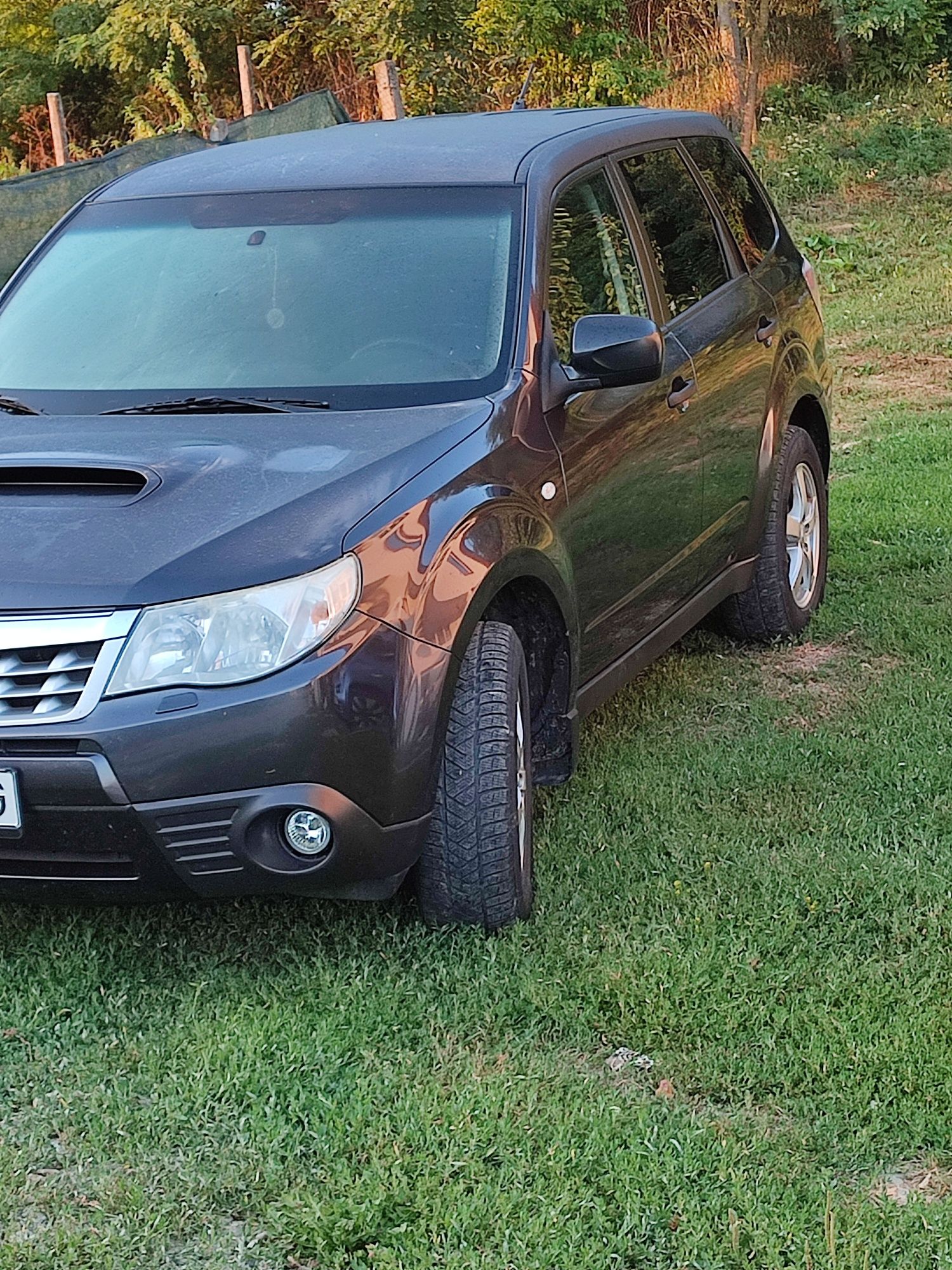 Subaru forester 2012