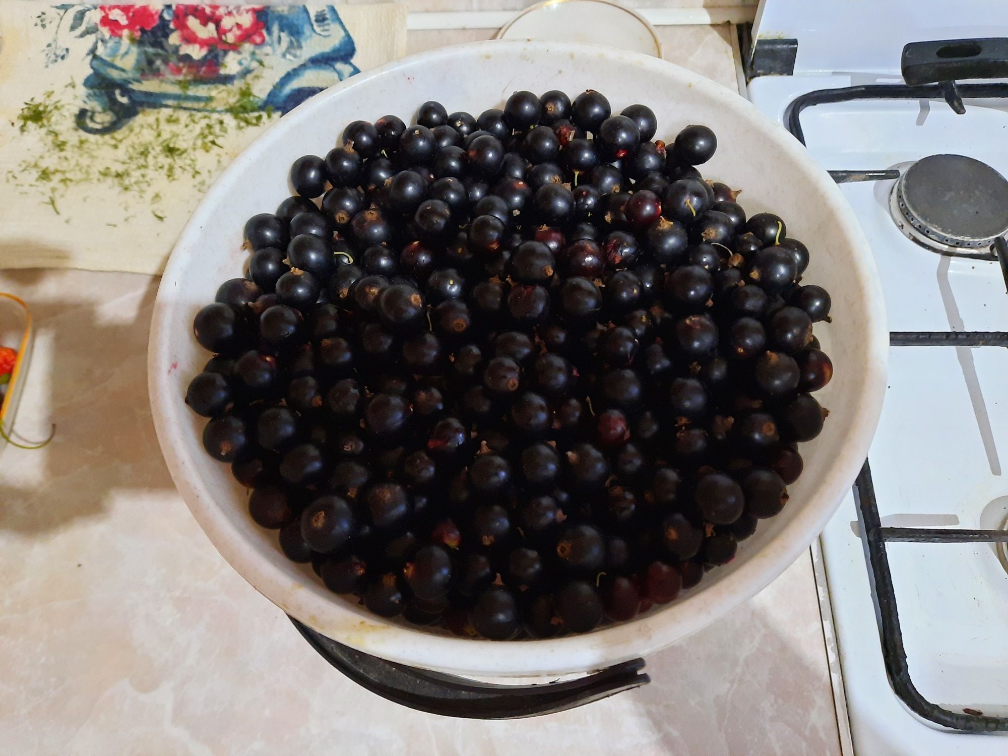 Продам смородину