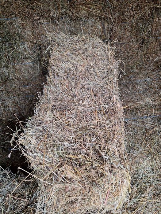 Vînd baloți de lucerna și fîn inpreunat cu lucerna (clae)