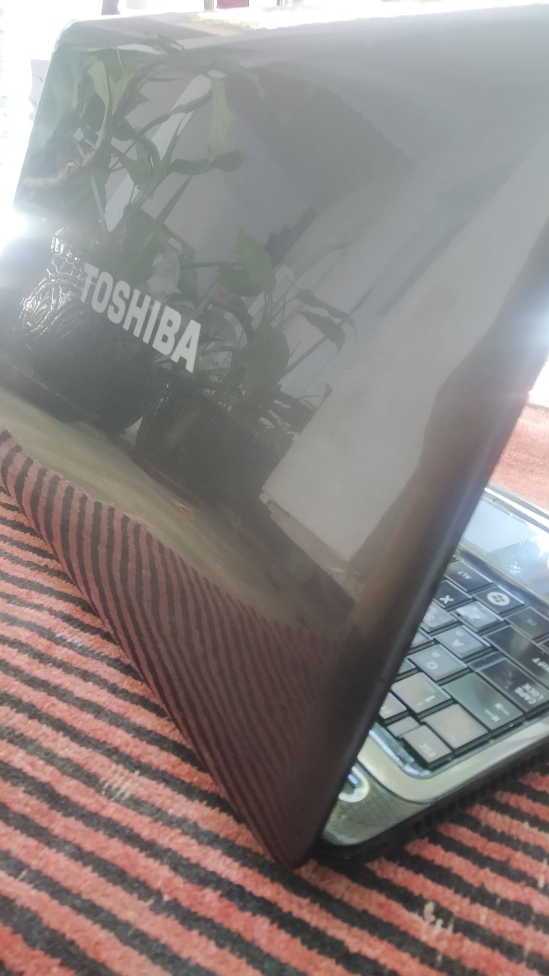 Notebook Toshiba