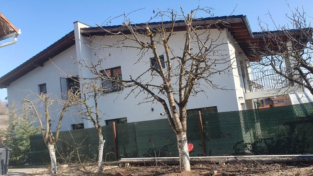 Drujbist tai lemne defrisez  toaletez pomi.