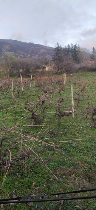 Продава се Парцел в Карлово - 1000 кв.м за 5 €/кв.м - Снимка #5