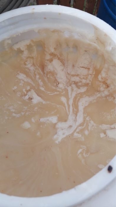 Miere de salcâm en gros