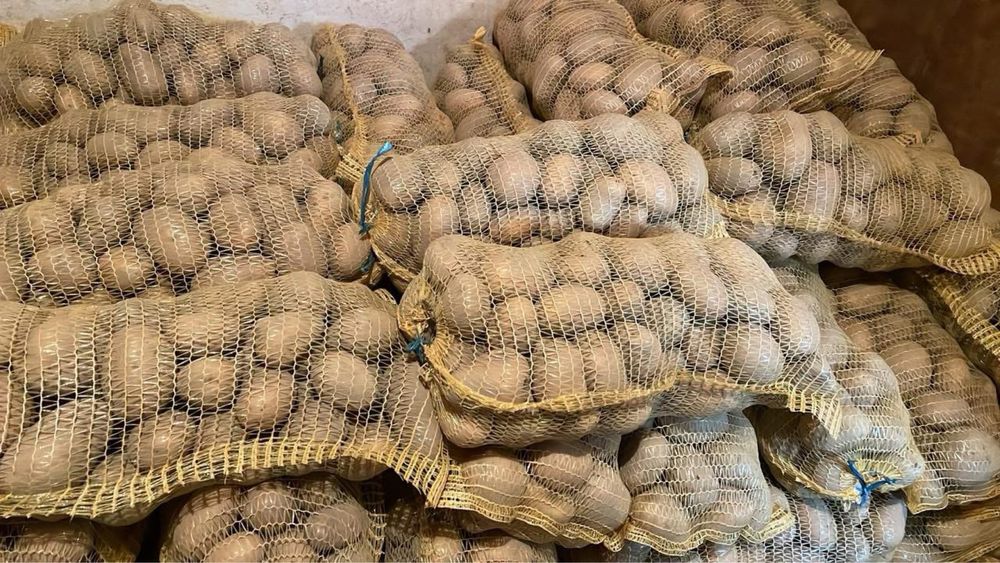 Картоф за консумация