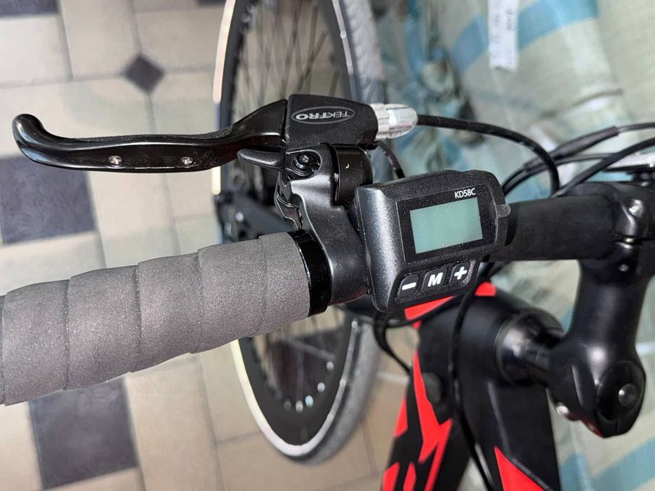 Electric bike arginal