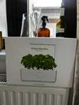 Click & Grow Smart Garden 3, Alb - Gradina de casa autonoma smart