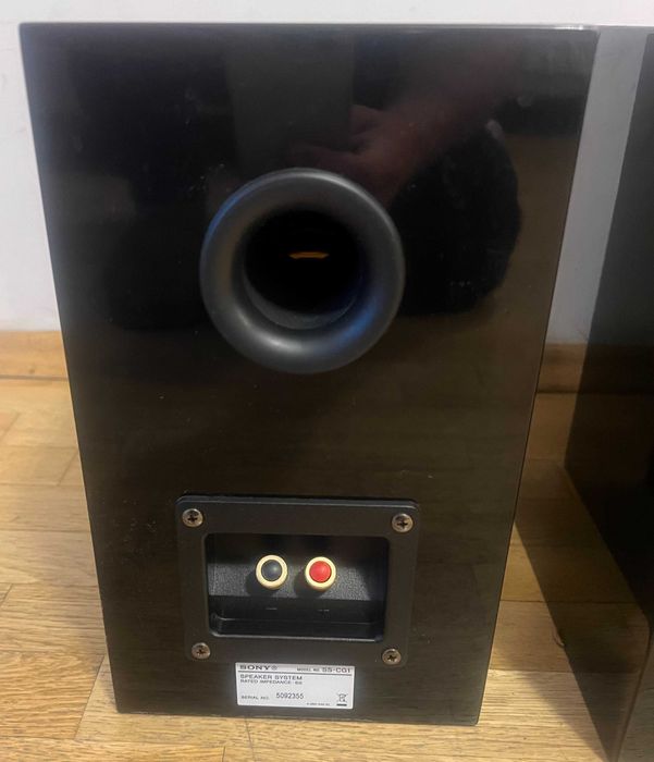 Hi Fi двулентови тонколони Sony SS-CG1 пасивни