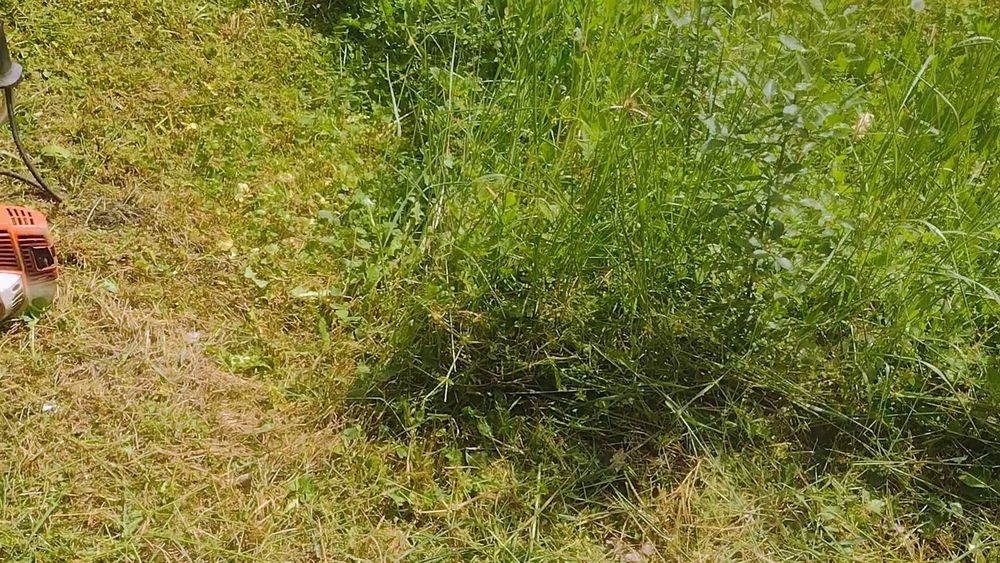 Косене на трева, рязане на дървета и храсти, почистване на дворове.