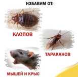Скидка 10% Дезенфекция дизенфекция дезинфекция дизинфекция dizinfeksiy