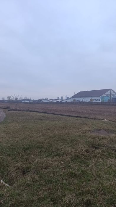 Teren intravilan Savinesti 13200 mp la DN