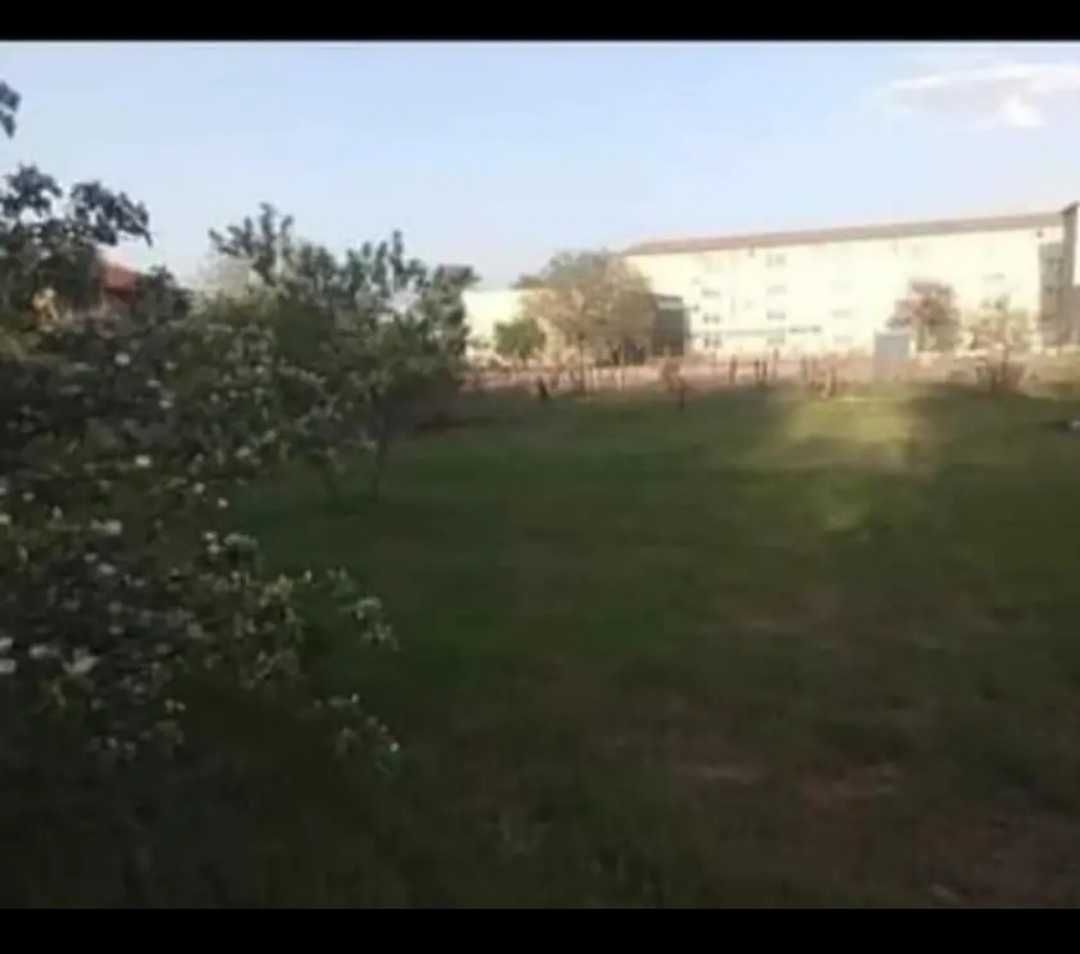 Продава се Парцел в с. Виноградец, Област Пазарджик - 590 кв.м за 33 €/кв.м - Снимка #3
