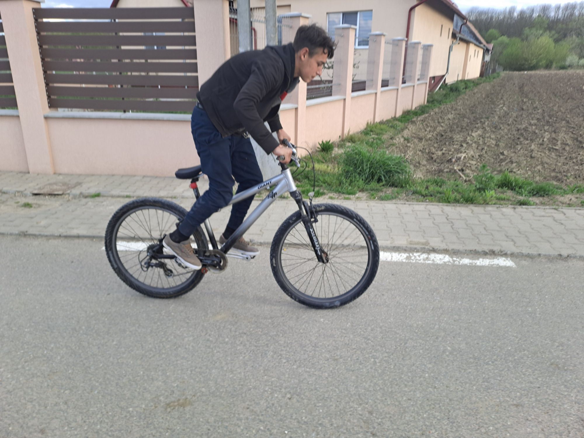 Bicicleta giant stp