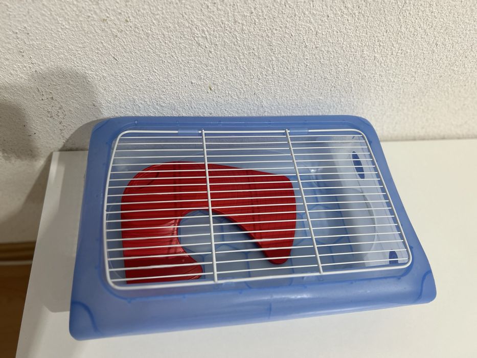 Terariu pentru broaşte ţestoase albastru, 45,5x31x13,8cm