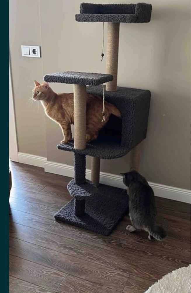 Драскалка за котка