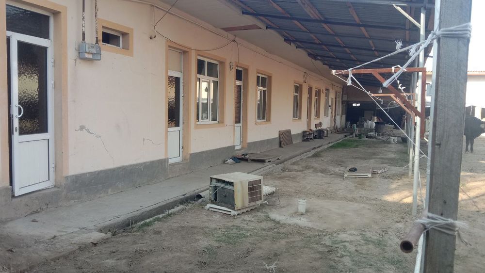 Uchastka, ferma sotiladi