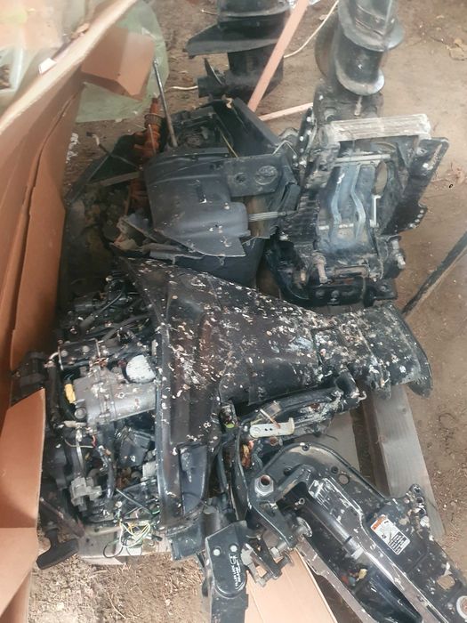 Mercury 30 CP 4 Stroke Line  motor barca