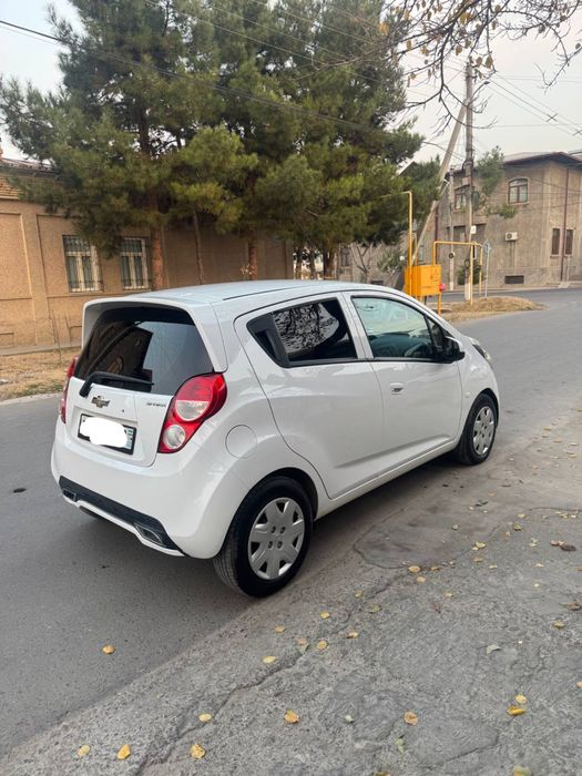 Spark 2020 Yil Optima + Kraska Top Toza Gazibilan