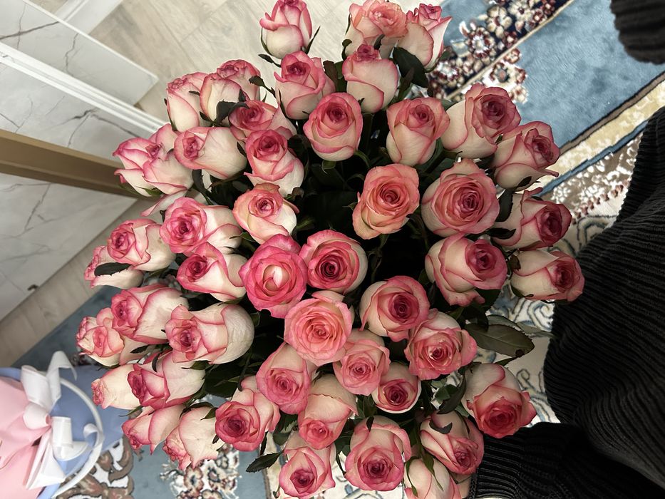 Продам срочно букет роз 51шт