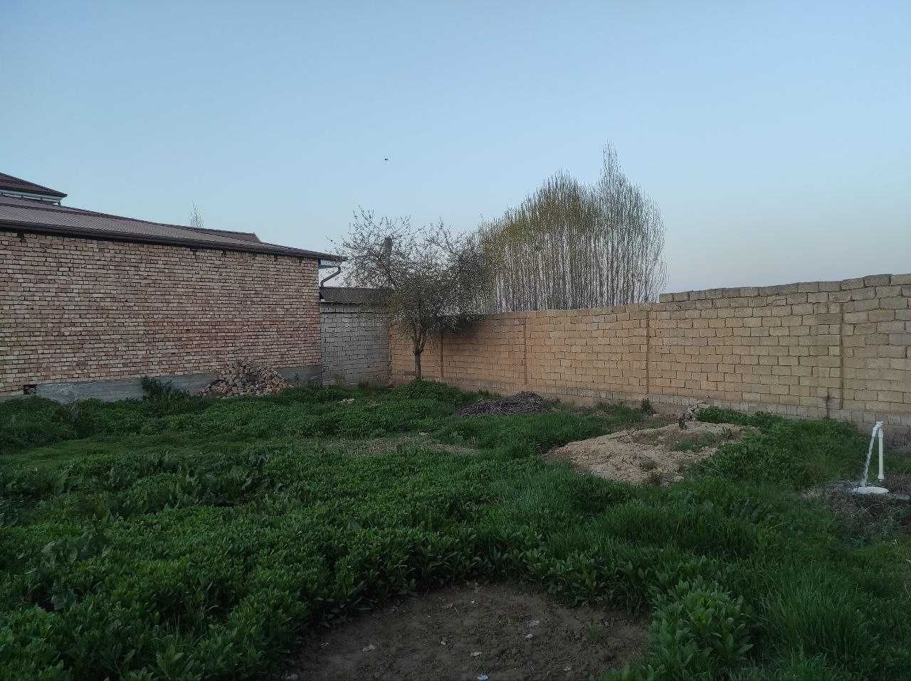 Yer sotiladi Adres zangi ota tumani ,kichik ittifoq, turop obod  mfy