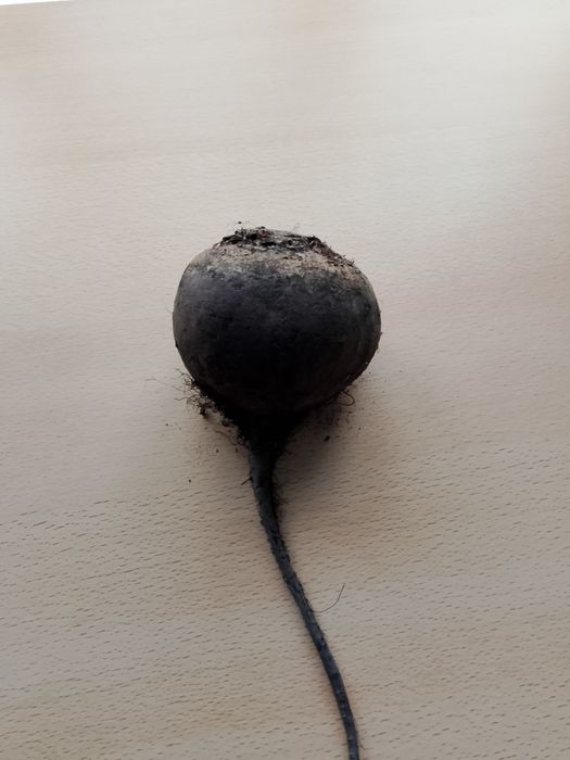 Продам свёклу...