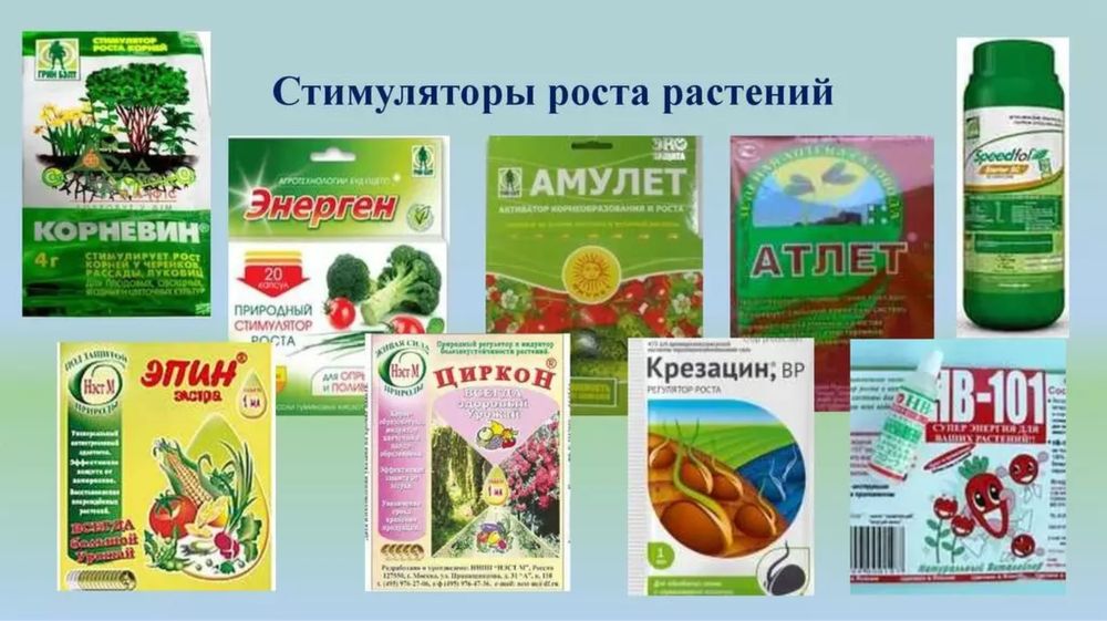 Стимуляторы роста для растений, корневин, эпин, циркон, hb-101