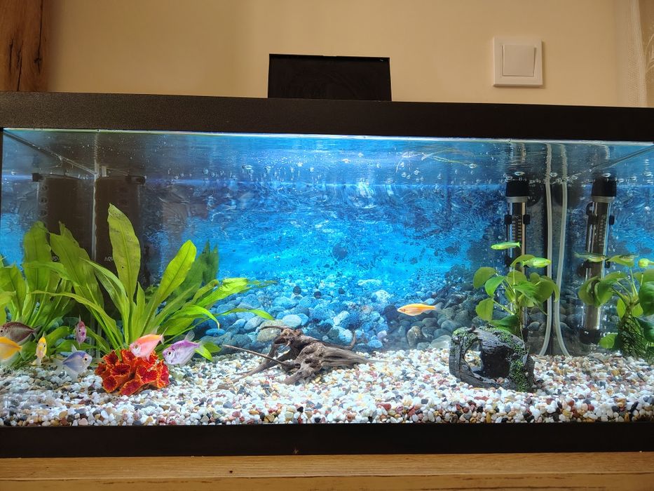 Аквариум - Aquael 60 литра