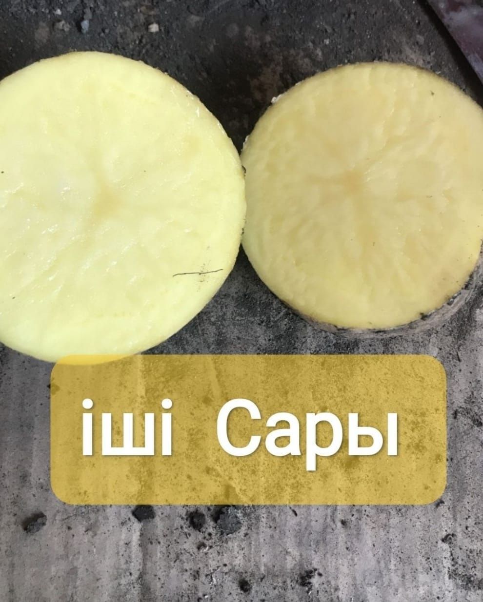 Картошка,картоп оптом