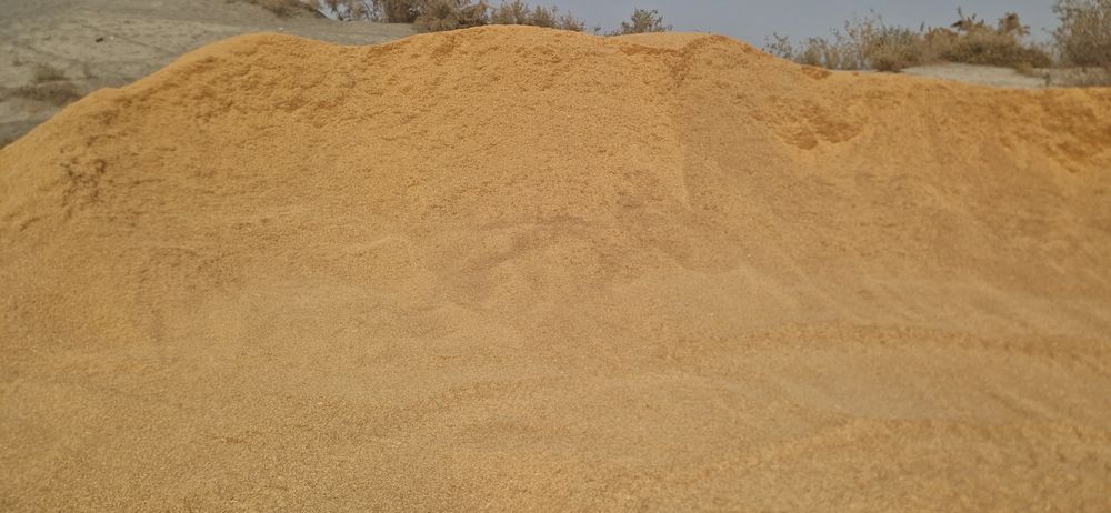 Sholi po'chogini un Holata chiqarilgani bor