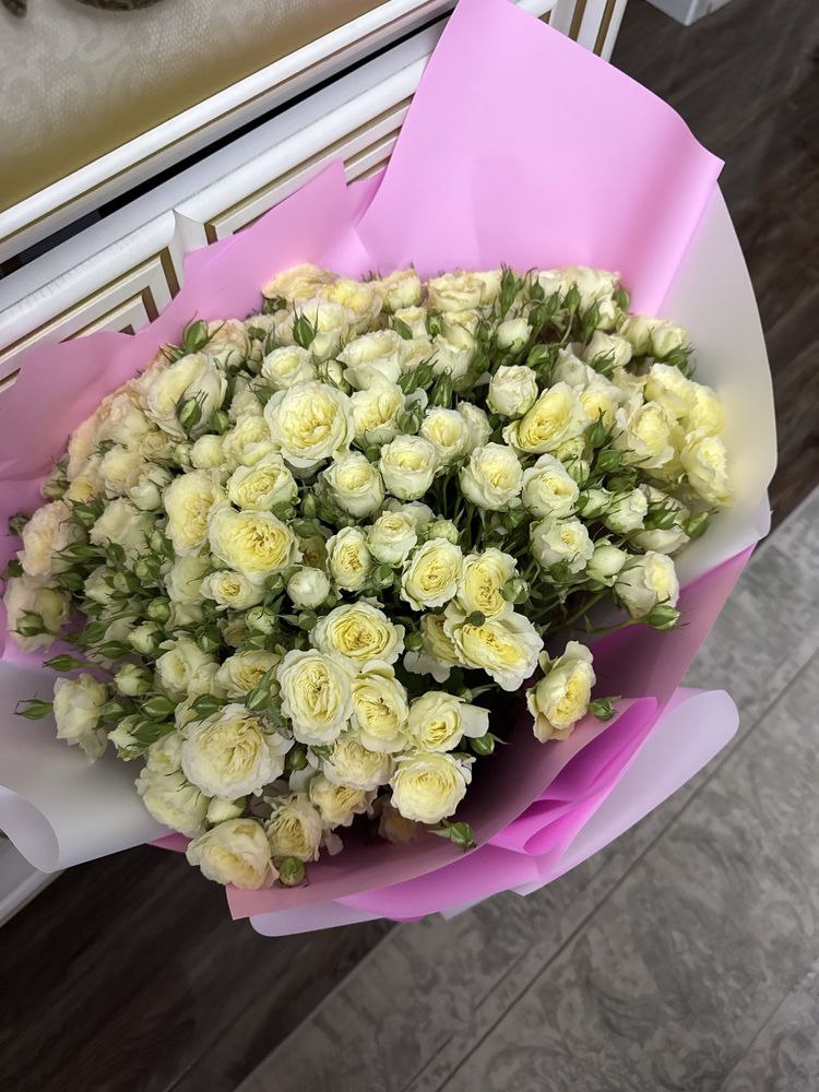 СРОЧНО продам цветы от 15.000