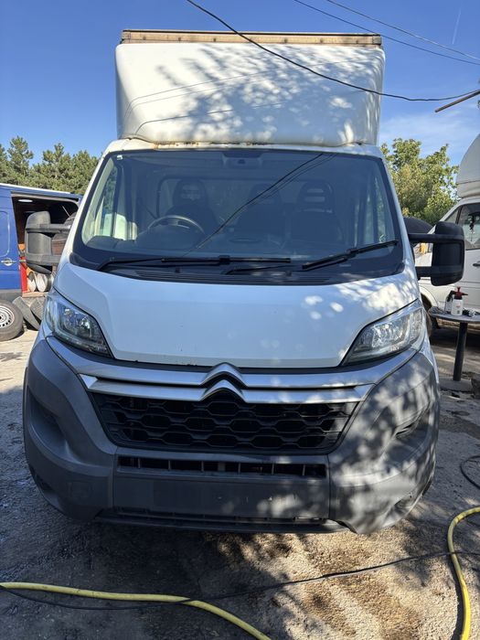 Citroen jumper prelata
