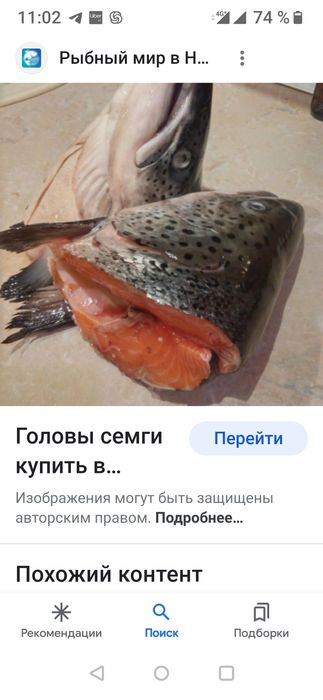 Голова семги  по 700тг за кг
