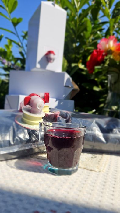 Suc de Aronia 100% Natural