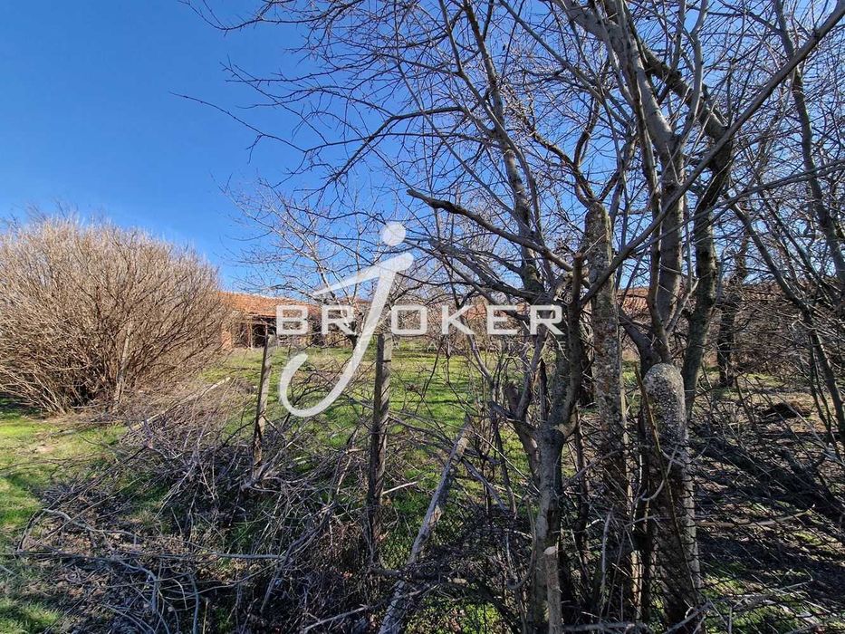 Продава се Къща в с. Маслиново, Област Хасково - 300 кв.м за 34 €/кв.м - Снимка #4