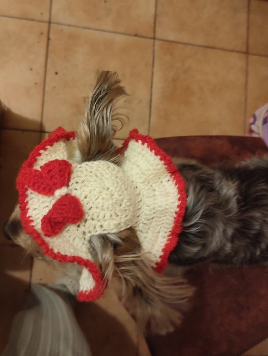 Căciula pentru căței croșetata manual
