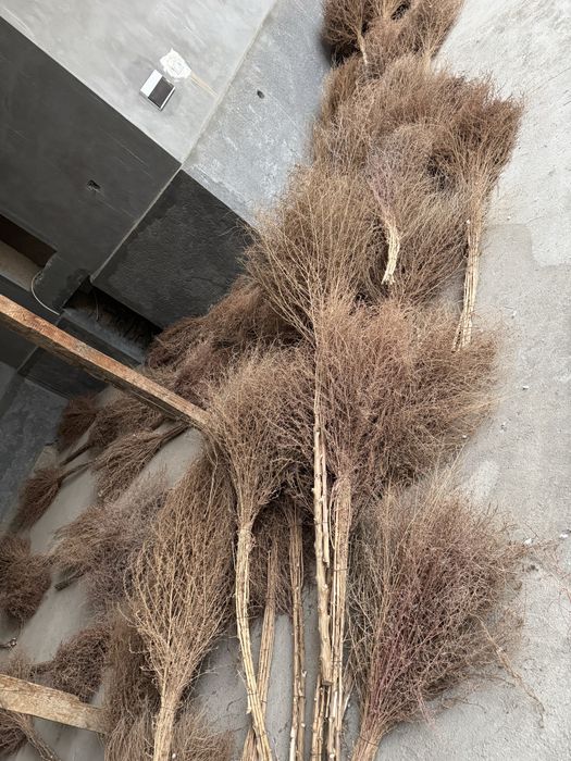 Kucha supurgis 70 dona