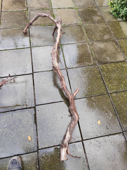 Lemn decor pentru acvariu