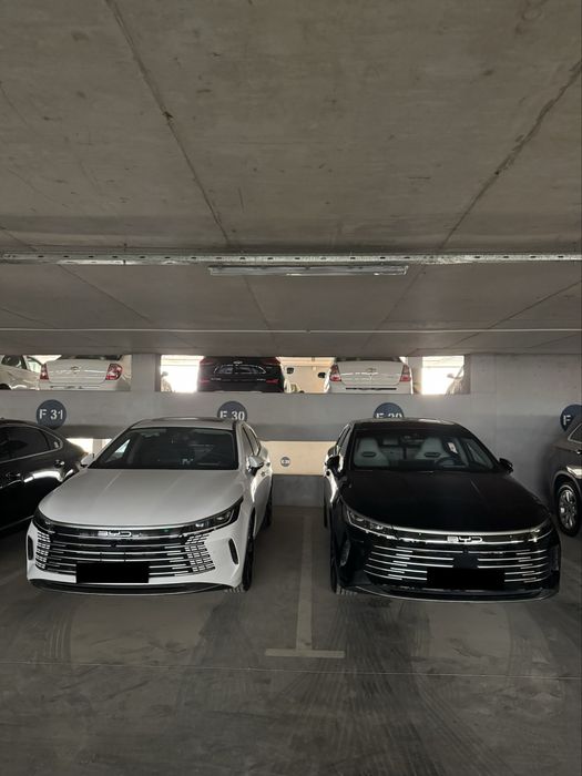 Byd Chazor flagship 120km 4 позиция фулл