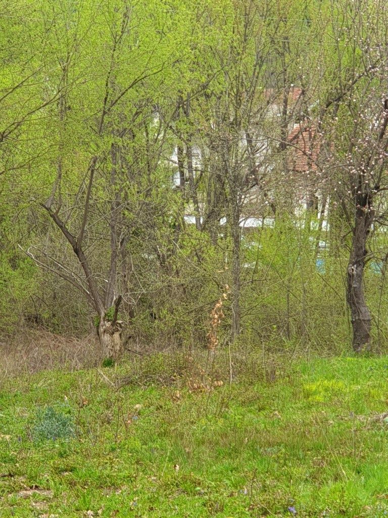 Парцел в гр.Априлци център 2200кв.м.