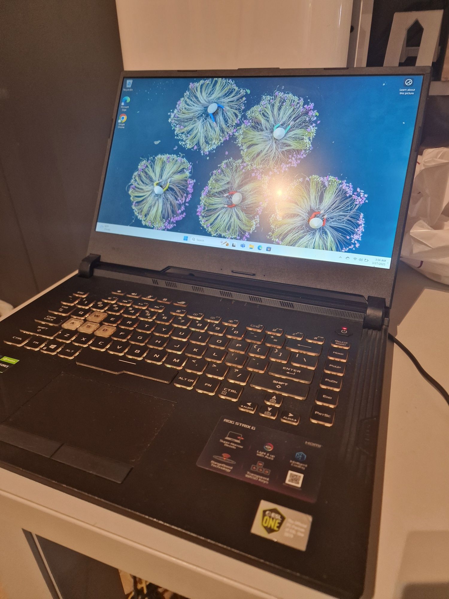 Laptop Asus ROG G531G