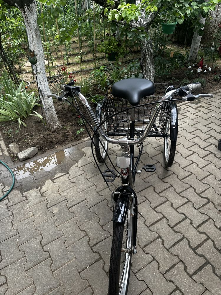 Bicicleta Pegas Senior Triciclu