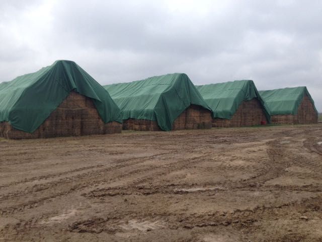 PRELATA PROTECTIE BALOTI 15.6x25m=2930lei; nu trece apa; garanție