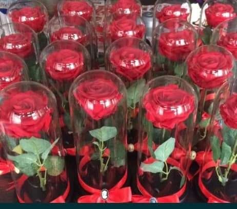 Trandafiri criogenati Valentine'sDay