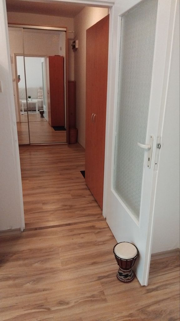 Дава се под наем Двустаен апартамент в София, Гео Милев - 50 кв.м за 408 € - Снимка #6