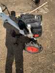 Vand motosapa cu disc+plung