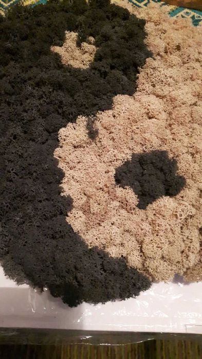 Арт пано "Ин-Ян" от естествен скандинавски мъх