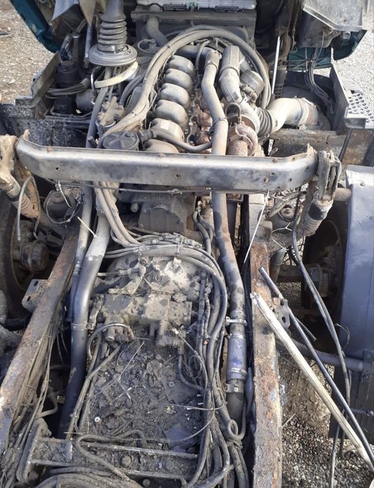 Man forestier complet