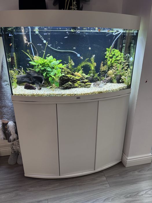 Acvariu Juwel Vision 180 L