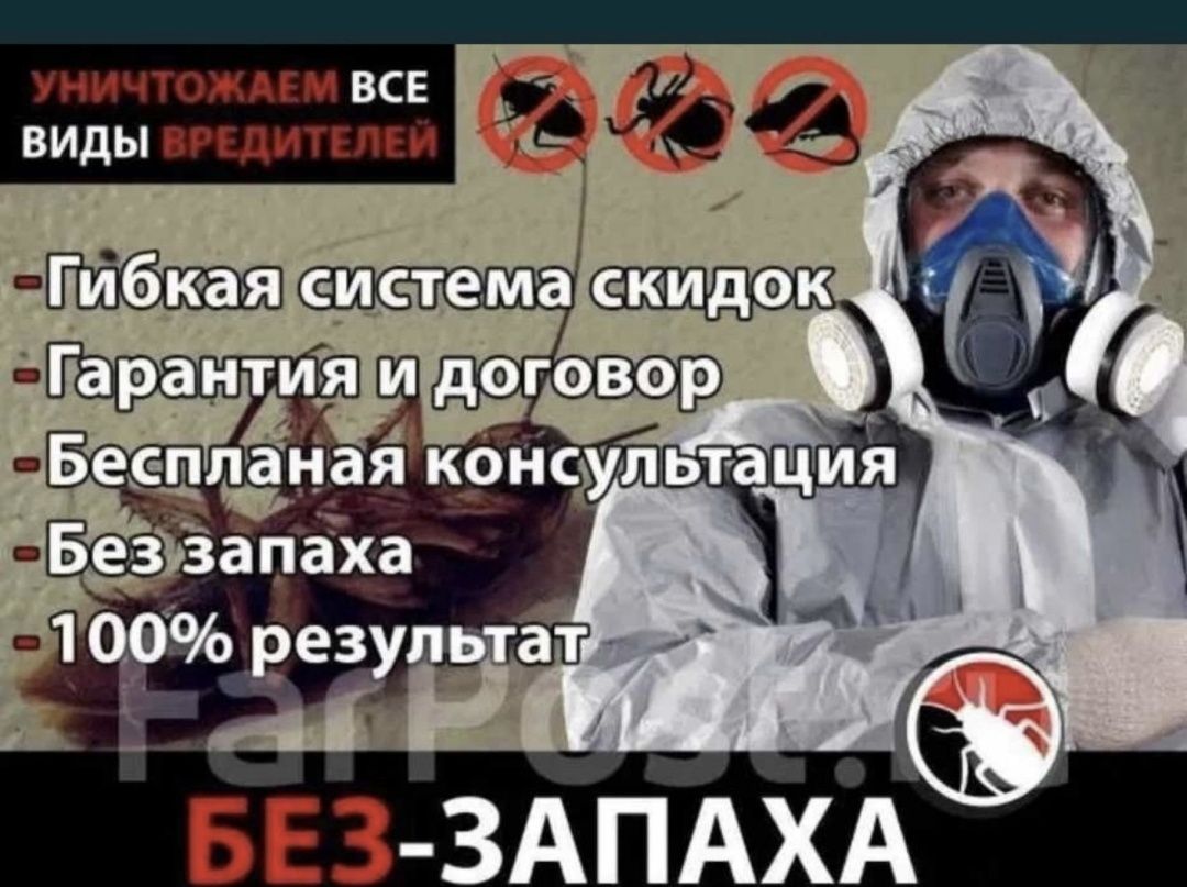 Дезинфекция уничтожение насекомых тараканов клопов муравей жук