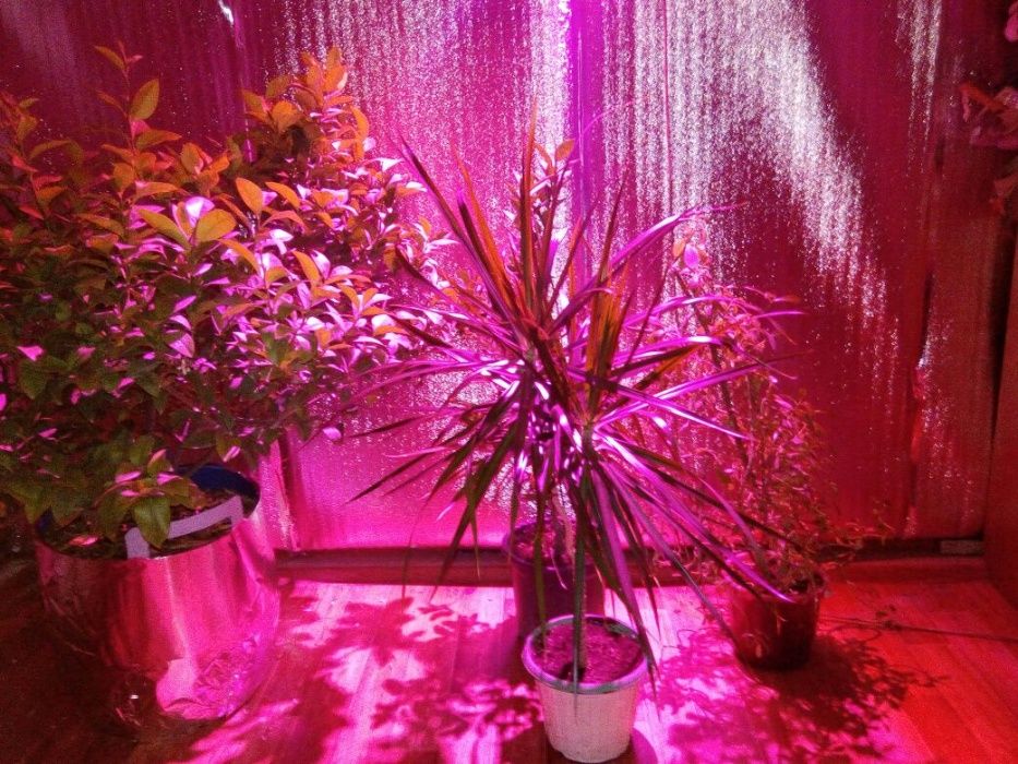 Фитолампа для растений полного спектра 50Вт 220В 3 Gen